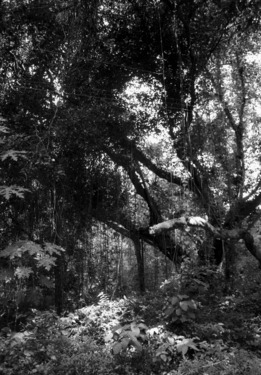 &#169;image: Goshka Macuga, 2008