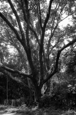 &#169;image: Goshka Macuga, 2008