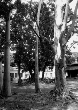 &#169;image: Goshka Macuga, 2008