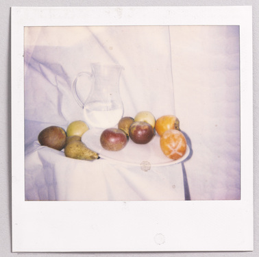 Polaroid_0780