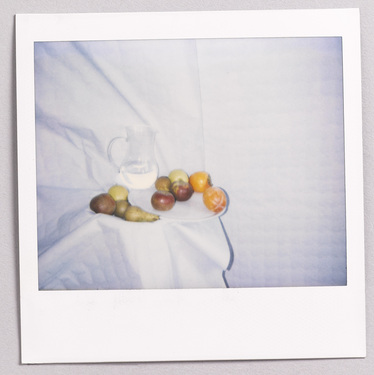Polaroid_0842