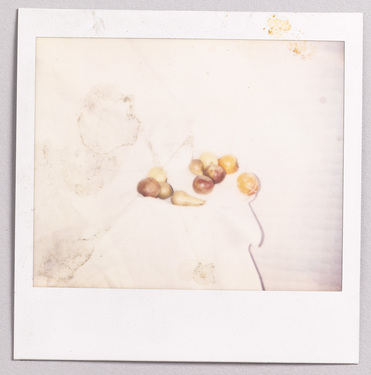 Polaroid_0846
