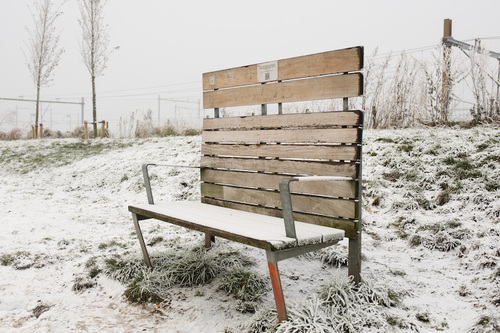 Picture taken by Anna Van Kooij