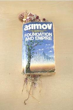 Foundation and Empire
2003
Science fiction book, Mongolian wildflowers