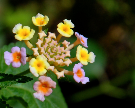 still 2&#169;Maha Maamoun