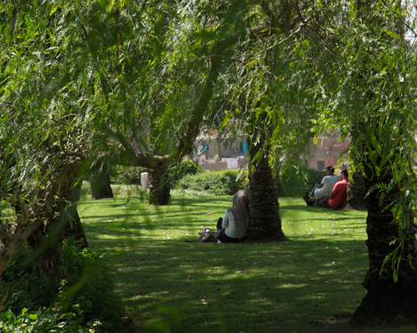 still 3&#169;Maha Maamoun