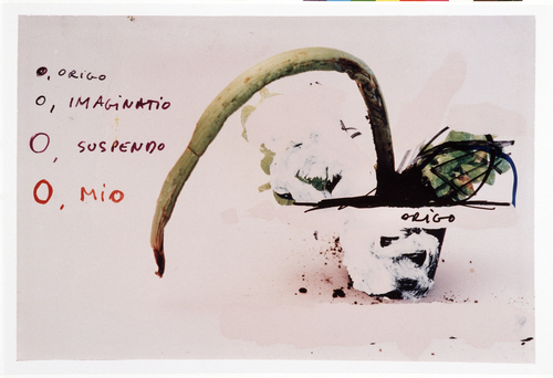 <p>Gert Verhoeven, <em>&#39;Imaginatio, Suspendo, Mio&#39;</em>, 1998</p>&#169;image: Syb'l. S. - Pictures