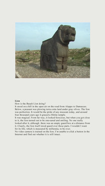 <p>Olga Chernysheva,&nbsp;<em>&#39;Screens - Lion</em><em>&#39;</em>, 2013</p>&#169;Olga Chernysheva