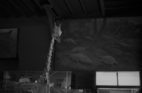 <p><em>&#39;Cactus Seller&#39;</em>&nbsp;(detail 2), 2010</p>&#169;Olga Chernysheva