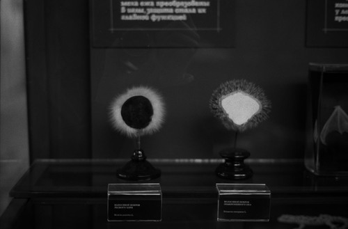 <p><em>&#39;Cactus Seller&#39;</em>&nbsp;(detail 3), 2010</p>&#169;Olga Chernysheva