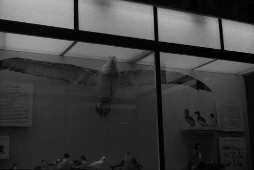 <p><em>&#39;Cactus Seller&#39;</em>&nbsp;(detail 5), 2010</p>&#169;Olga Chernysheva