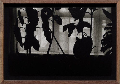 <p><em>'Moscow Area'</em>, 2008-2012, detail 14</p>©Olga Chernysheva