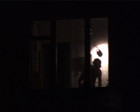 <p><em>&#39;Windows&#39;</em>, 2007, sequence 2</p>&#169;Olga Chernysheva