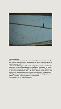 <p><em>&#39;Clippings&#39;,&nbsp;</em>2012-2013, detail 7 (Lines on the snow) - not included in the exhibition</p>&#169;Olga Chernysheva