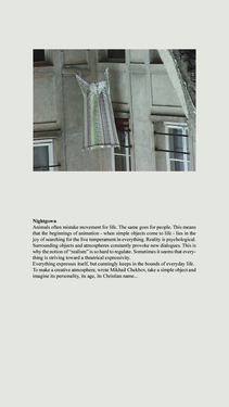 <p><em>&#39;Clippings&#39;,&nbsp;</em>2012-2013, detail 8 (Nightgrown)</p>&#169;Olga Chernysheva