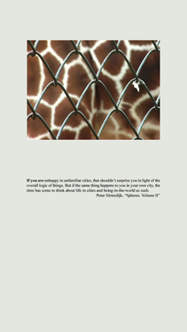 <p><em>&#39;Clippings&#39;,&nbsp;</em>2012-2013, detail 11 (If you are) - not included in the exhibition</p>&#169;Olga Chernysheva