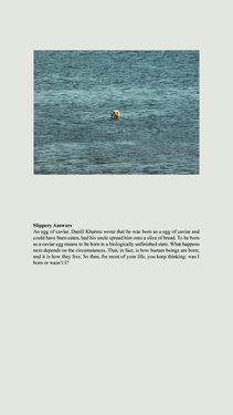 <p><em>&#39;Clippings&#39;,&nbsp;</em>2012-2013, detail 12 (Slippery Answers) - not included in the exhibition</p>&#169;Olga Chernysheva