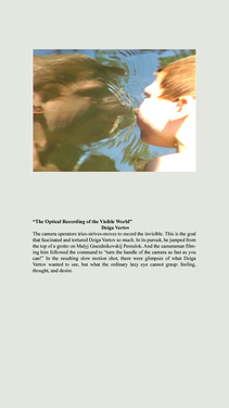 <p><em>&#39;Clippings&#39;,&nbsp;</em>2012-2013, detail 13 (&quot;The Optical Recording of the Visible World&quot; - Dziga Vertov) - not included in the exhibition</p>&#169;Olga Chernysheva