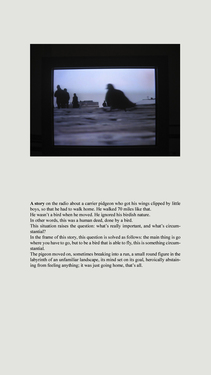 <p><em>&#39;Clippings&#39;,&nbsp;</em>2012-2013, detail 15 (A Story)</p>&#169;Olga Chernysheva