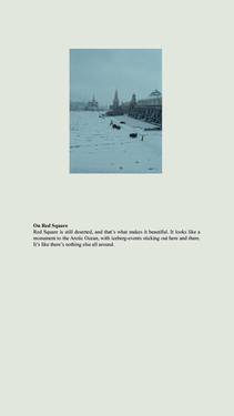 <p><em>&#39;Clippings&#39;,&nbsp;</em>2012-2013, detail 17 (On Red Square)</p>&#169;Olga Chernysheva