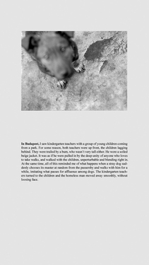 <p><em>&#39;Clippings&#39;,&nbsp;</em>2012-2013, detail 19 (In Budapest) - not included in the exhibition</p>&#169;Olga Chernysheva