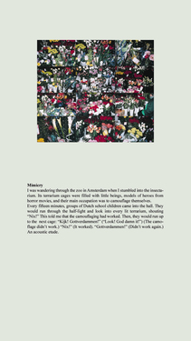 <p><em>&#39;Clippings&#39;,&nbsp;</em>2012-2013, detail 22 (Mimicry) - not included in the exhibition</p>&#169;Olga Chernysheva