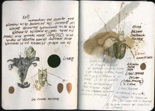 <p>p.3<br />&nbsp;</p>