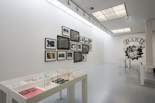 <p>Matt Stokes&nbsp;&ndash; Real Arcadia, 2003-2016 (Exhibition view M HKA)</p>
&#169;Photo: M HKA