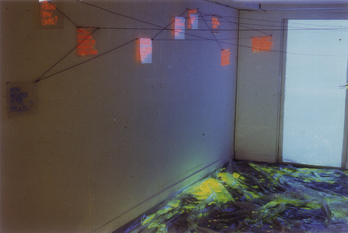 <p>Installation view</p>
©image: AMVK