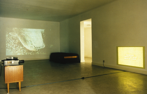 <p>Installation view</p>
&#169;image: AMVK
