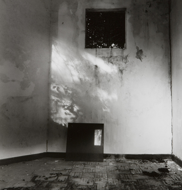 <p>Simryn Gill, My Own Private Angkor - detail 2, 2007-2009</p>
&#169;image: Simryn Gill, Courtesy of the Artist and Tracy Williams, Ltd., New York