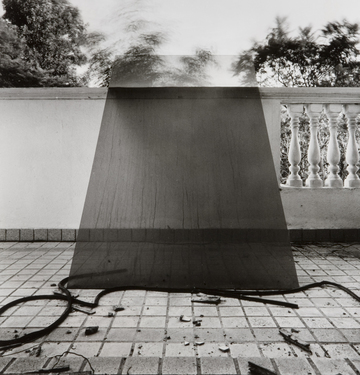 <p>Simryn Gill, My Own Private Angkor - detail 3, 2007-2009</p>
&#169;image: Simryn Gill, Courtesy of the Artist and Tracy Williams, Ltd., New York