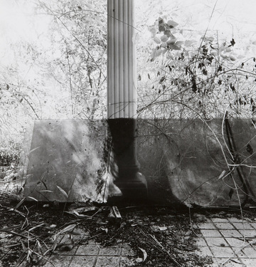 <p>Simryn Gill, My Own Private Angkor - detail 4, 2007-2009</p>
&#169;image: Simryn Gill, Courtesy of the Artist and Tracy Williams, Ltd., New York