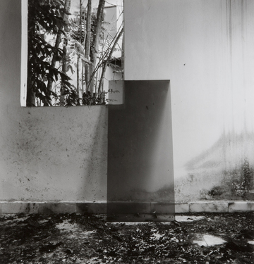 <p>Simryn Gill, My Own Private Angkor - detail 5, 2007-2009</p>
&#169;image: Simryn Gill, Courtesy of the Artist and Tracy Williams, Ltd., New York