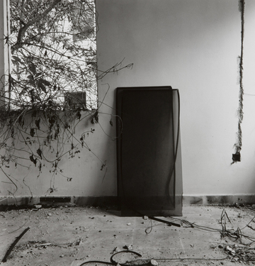 <p>Simryn Gill, My Own Private Angkor - detail 6, 2007-2009</p>
&#169;image: Simryn Gill, Courtesy of the Artist and Tracy Williams, Ltd., New York