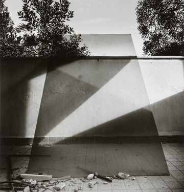 <p>Simryn Gill, My Own Private Angkor - detail 7, 2007-2009</p>
&#169;image: Simryn Gill, Courtesy of the Artist and Tracy Williams, Ltd., New York