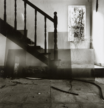 <p>Simryn Gill, My Own Private Angkor - detail 8, 2007-2009</p>
&#169;image: Simryn Gill, Courtesy of the Artist and Tracy Williams, Ltd., New York