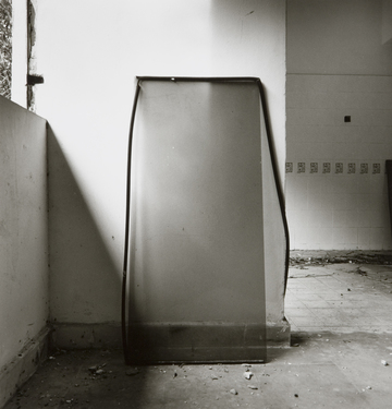 <p>Simryn Gill, My Own Private Angkor - detail 9, 2007-2009</p>
&#169;image: Simryn Gill, Courtesy of the Artist and Tracy Williams, Ltd., New York