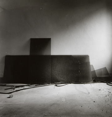 <p>Simryn Gill, My Own Private Angkor - detail 10, 2007-2009</p>
&#169;image: Simryn Gill, Courtesy of the Artist and Tracy Williams, Ltd., New York