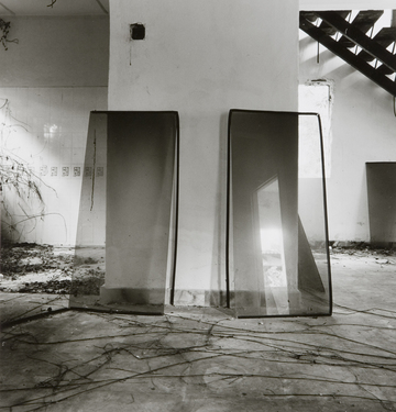 <p>Simryn Gill, My Own Private Angkor - detail 12, 2007-2009</p>
&#169;image: Simryn Gill, Courtesy of the Artist and Tracy Williams, Ltd., New York