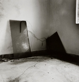 <p>Simryn Gill, My Own Private Angkor - detail 14, 2007-2009</p>
&#169;image: Simryn Gill, Courtesy of the Artist and Tracy Williams, Ltd., New York