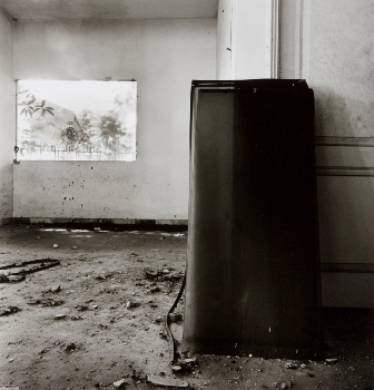 <p>Simryn Gill, My Own Private Angkor - detail 15, 2007-2009</p>
&#169;image: Simryn Gill, Courtesy of the Artist and Tracy Williams, Ltd., New York