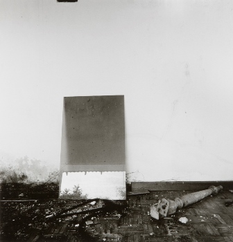 <p>Simryn Gill, My Own Private Angkor - detail 16, 2007-2009</p>
&#169;image: Simryn Gill, Courtesy of the Artist and Tracy Williams, Ltd., New York