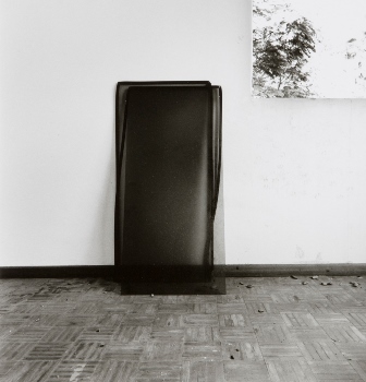 <p>Simryn Gill, My Own Private Angkor - detail 19, 2007-2009</p>
&#169;image: Simryn Gill, Courtesy of the Artist and Tracy Williams, Ltd., New York