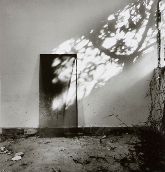 <p>Simryn Gill, My Own Private Angkor - detail 20, 2007-2009</p>
&#169;image: Simryn Gill, Courtesy of the Artist and Tracy Williams, Ltd., New York