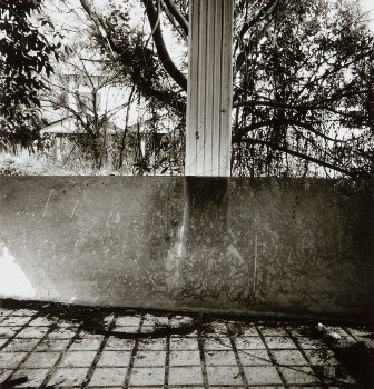 <p>Simryn Gill, My Own Private Angkor - detail 24, 2007-2009</p>
&#169;image: Simryn Gill, Courtesy of the Artist and Tracy Williams, Ltd., New York