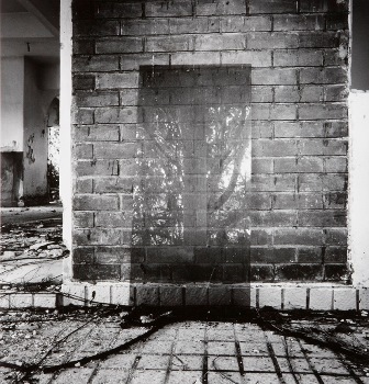 <p>Simryn Gill, My Own Private Angkor - detail 25, 2007-2009</p>
&#169;image: Simryn Gill, Courtesy of the Artist and Tracy Williams, Ltd., New York