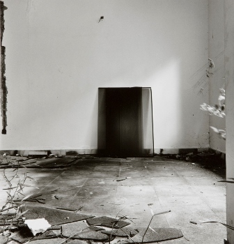 <p>Simryn Gill, My Own Private Angkor - detail 29, 2007-2009</p>
&#169;image: Simryn Gill, Courtesy of the Artist and Tracy Williams, Ltd., New York