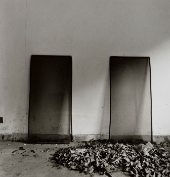 <p>Simryn Gill, My Own Private Angkor - detail 31, 2007-2009</p>
&#169;image: Simryn Gill, Courtesy of the Artist and Tracy Williams, Ltd., New York