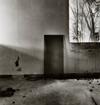 <p>Simryn Gill, My Own Private Angkor - detail 36, 2007-2009</p>
&#169;image: Simryn Gill, Courtesy of the Artist and Tracy Williams, Ltd., New York